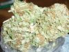 Orange Kush.JPG