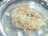 Orange Kush (10).JPG