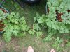 PC120132.jpg