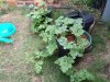 PC120130.jpg