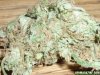 Pineapple_Express_7_.JPG