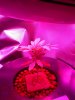 DSC00033.jpg