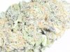 Grape Ape (2).JPG