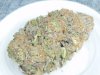 Grape Ape (3).JPG