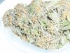 Grape Ape (4).JPG
