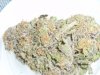 Grape Ape (5).JPG