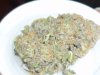 Grape Ape (7).JPG