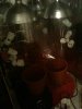grow room.jpg
