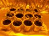 100_2555.jpg
