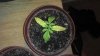 2011-12-13_20-44-06_740.jpg