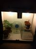 lower grow room.jpg