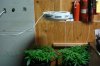DSC02197.jpg