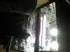 photo (12).jpg