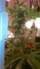 IMAG0551.jpg
