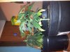 20111216_224216.jpg 20111216_224216.jpg