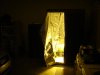 DSC04555.JPG