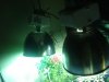DSC01378.JPG