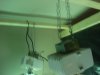 DSC01379.JPG