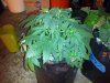 2011-12-19 10.24.22.jpg