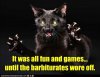 funny-pictures-it-was-all-fun-and-games-until-the-barbiturates-wore-off.jpg