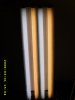 DSCI0598.jpg