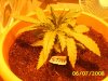 EXPERIMENT 02. 040.jpg