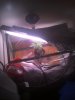 IMG_20111220_121016.jpg