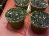 IMG_20111221_003837.jpg
