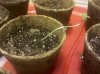 IMG_20111221_003855.jpg