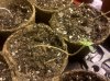 IMG_20111221_004043.jpg