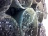 IMG_20111221_004052.jpg