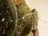 IMG_20111221_004111.jpg