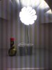 IMG_20111221_124448.jpg