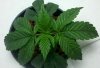2011-12-21_07-16-24_586.jpg