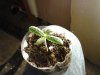 2011-12-19 19.57.15.jpg