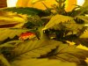 2011-12-19 20.00.35.jpg