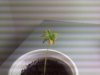 IMG_20111222_202028.jpg