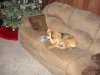 DSC04568.jpg