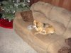 DSC04568.JPG