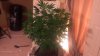 2011-12-24_00-05-33_510.jpg
