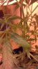 2011-12-25_18-19-03_499.jpg