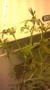 2011-12-25_18-22-59_546 (1).jpg