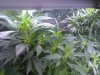 2011-12-26_19-59-50_404.jpg