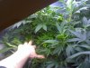 2011-12-26_20-00-32_225.jpg