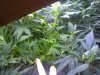 2011-12-26_20-00-44_696.jpg