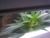 2011-12-26_20-00-56_645.jpg