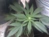 2011-12-26_20-01-21_630.jpg