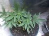 2011-12-26_20-01-26_344.jpg