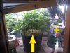 2011-12-26_20-01-38_114.jpg