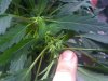 2011-12-26_20-01-49_727.jpg